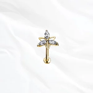 bijou titane oreille doré