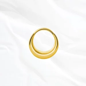 Piercing nez titane dorée