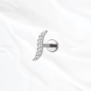 Bijou en titane oreille hypoallergénique argenté