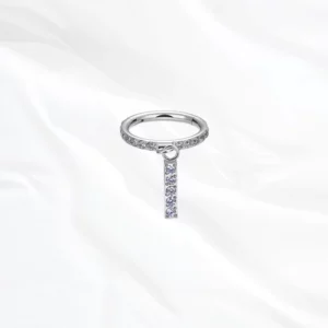 Piercing oreille titane argentée