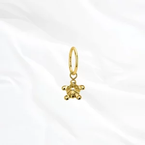 Bijou en titane oreille hypoallergénique doré