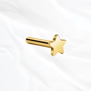 bijoux tige titane oreille doré