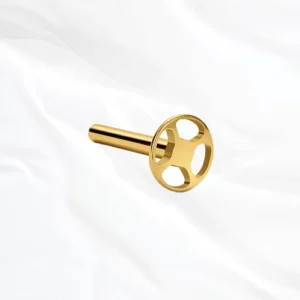 bijoux tige titane oreille doré