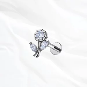 Piercing oreille titane argenté