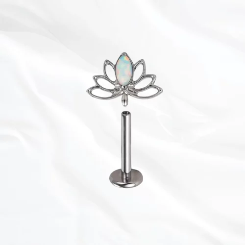 LE LOTUS BRILLANT – Image 4