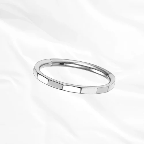 LE SEGMENT – Image 2