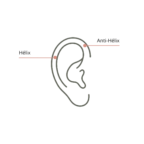 Schéma d'une oreille de face indiquant les emplacements de piercings pour l'Hélix et l'Anti-Hélix.