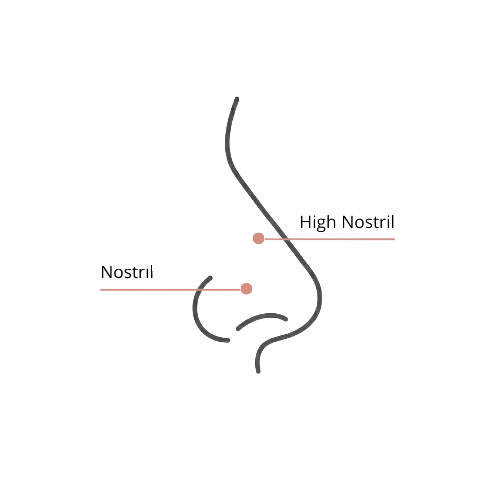 Schéma de profil d'un nez montrant l'emplacement du piercing de la Narine (Nostril) et du piercing de la Narine Haute (High Nostril).