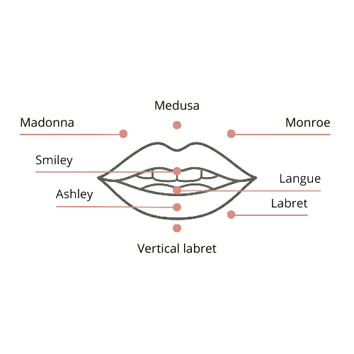 Schéma des piercings de la bouche et des lèvres : Madonna, Medusa, Monroe, Smiley, Ashley, Labret, Vertical Labret et Langue.