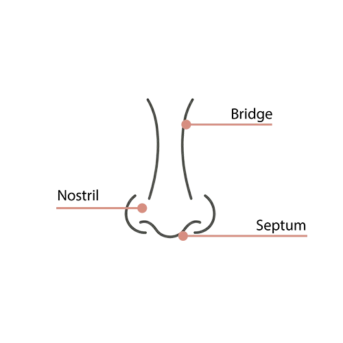 Schéma de face d'un nez montrant l'emplacement de trois piercing nez titane communs : Bridge (haut du nez), Nostril (narine) et Septum (base du nez).
