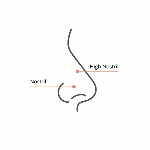 Schéma de profil d'un nez montrant l'emplacement du piercing de la Narine (Nostril) et du piercing de la Narine Haute (High Nostril).