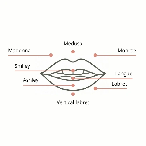 Schéma des piercings de la bouche et des lèvres : Madonna, Medusa, Monroe, Smiley, Ashley, Labret, Vertical Labret et Langue.