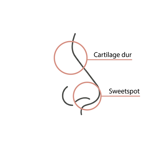 Schéma de profil d'un nez montrant l'emplacement du « Sweetspot » (zone charnue idéale pour un piercing septum titane) par rapport au cartilage dur.