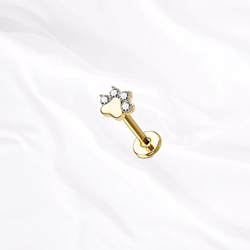 Labret push-in en titane doré La Pattoune, empreinte de patte à coussinet plein et quatre doigts formés de zircons