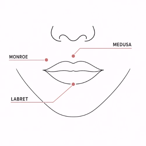 Schéma des emplacements du piercing lèvre : medusa au-dessus de la lèvre supérieure, monroe sur le côté, labret sous la lèvre inférieure